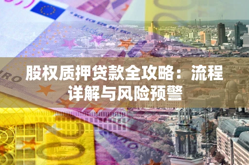 北京股权质押贷款全攻略：流程详解与风险预警