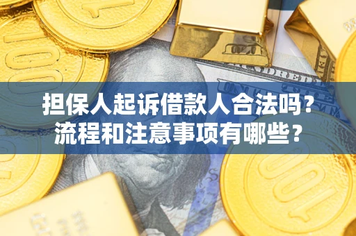 北京担保人起诉借款人合法吗？流程和注意事项有哪些？