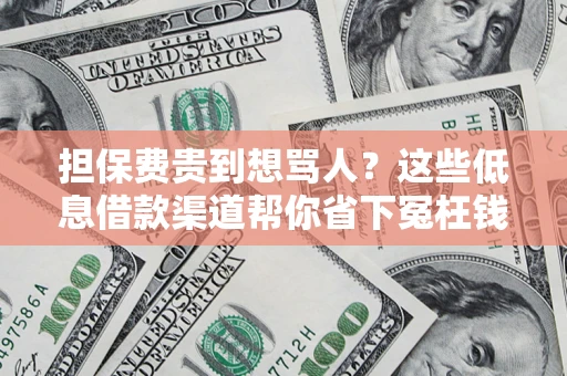 北京担保费贵到想骂人？这些低息借款渠道帮你省下冤枉钱