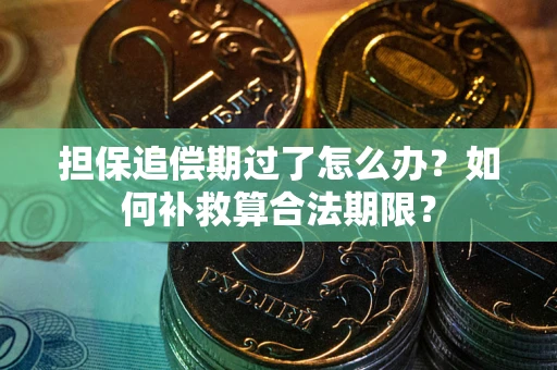 北京担保追偿期过了怎么办？如何补救算合法期限？