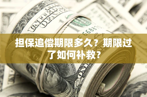 北京担保追偿期限多久？期限过了如何补救？