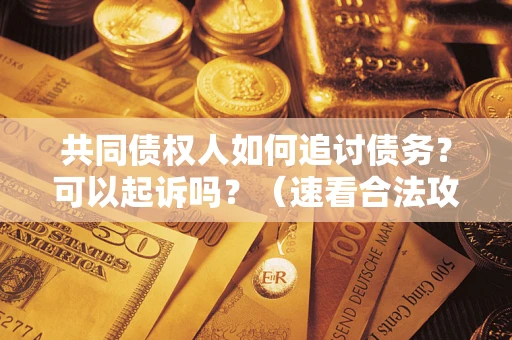 北京共同债权人如何追讨债务？可以起诉吗？（速看合法攻略）
