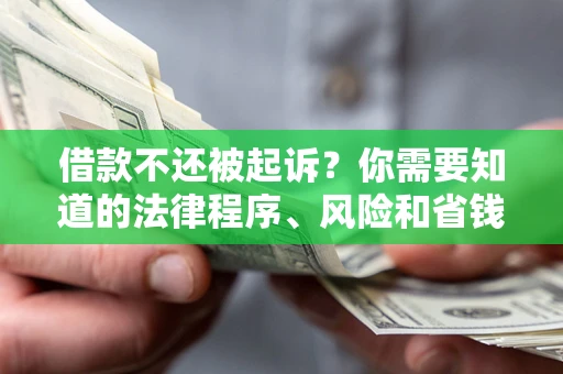 北京借款不还被起诉？你需要知道的法律程序、风险和省钱技巧