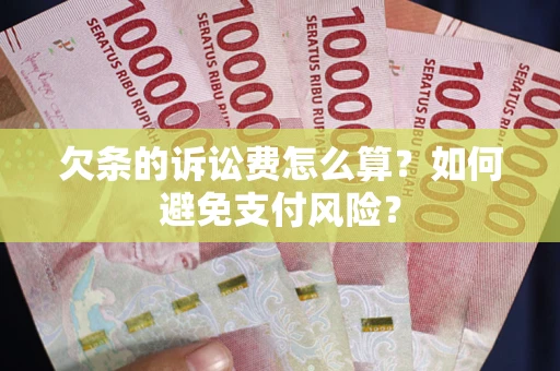 北京欠条的诉讼费怎么算？如何避免支付风险？