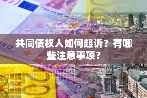 北京共同债权人如何起诉？有哪些注意事项？